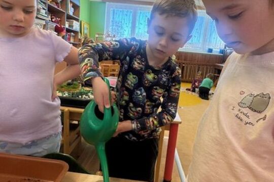 Microgreens - Sovičky 1