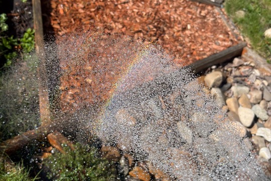 Sobotní zahrádka  1