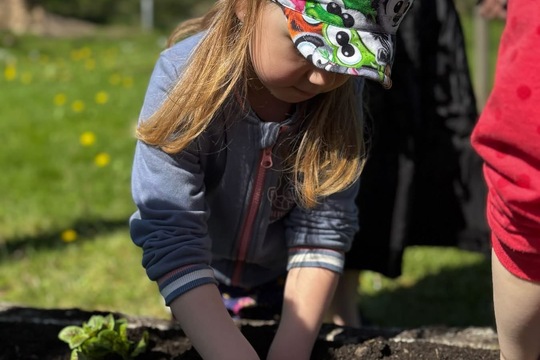 Sázení bylinek Sázení bylinek 1