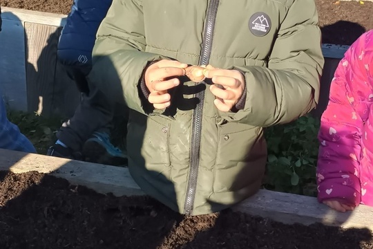 Sázka na budoucnost Sázka na budoucnost 1
