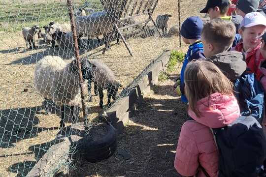 Výlet na Zlatou farmu  1