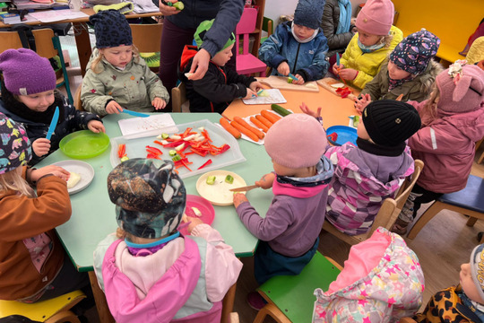 Zdravý dip v LMŠ Zdravý dip v LMŠ 1