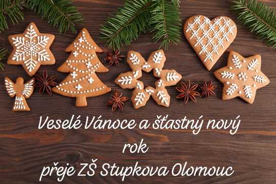 Veselé Vánoce a šťastný nový rok  1