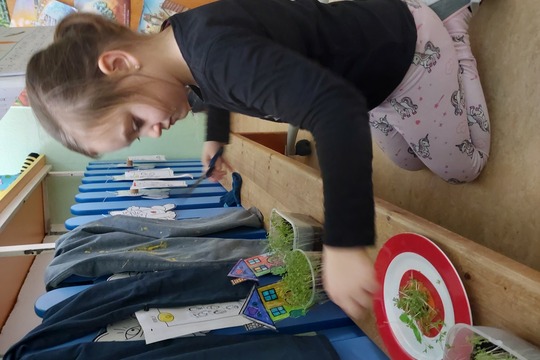 Jak přivoláme jaro? 1