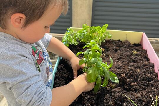 Naše bylinková zahrádka 1