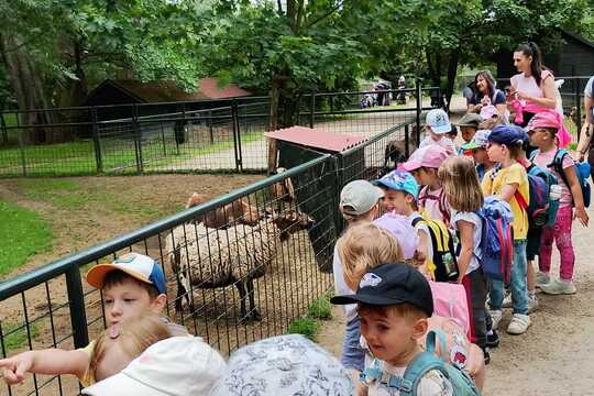 VÝLET DO MINI ZOO ČASTOLOVICE VÝLET DO MINI ZOO ČASTOLOVICE 1