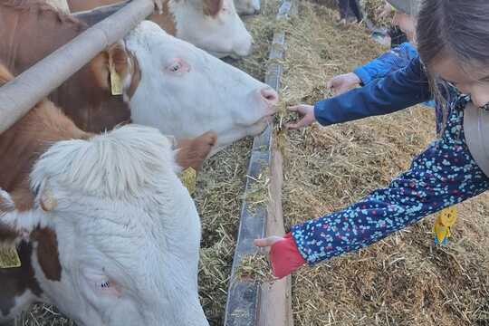 Výlet na Zlatou farmu  1
