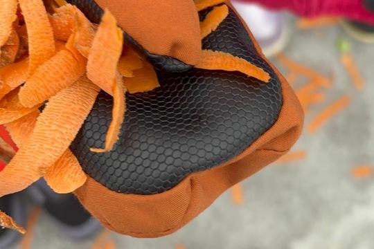 Ptáci v zimě Ptáci v zimě 1