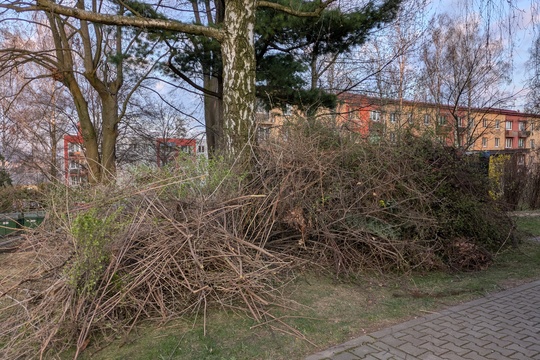 Jarní brigáda 1
