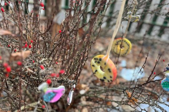 Pomáháme ptáčkům přečkat zimu 2 Pomáháme ptáčkům přečkat zimu 2 1