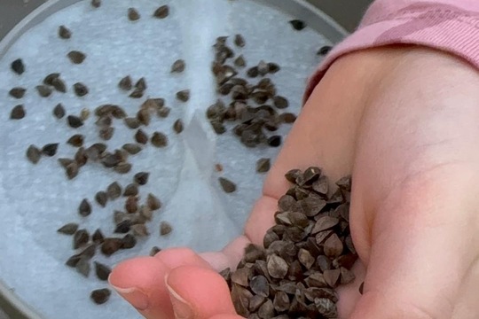 Naše oblíbená aktivita  1