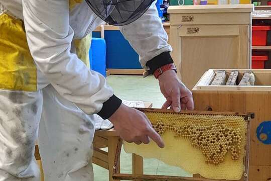 Za telátky, kůzlaty a pilnými včelkami Za telátky, kůzlaty a pilnými včelkami 1