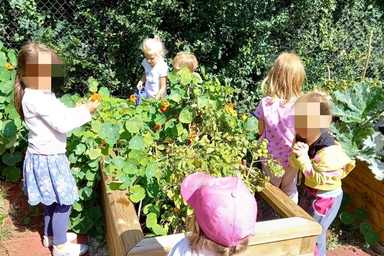 Plody naší školní zahrady 1