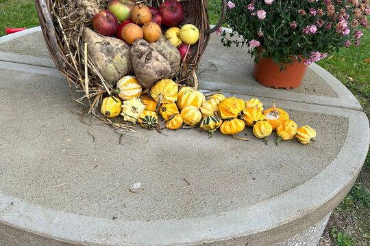 Podzimní slavnost - Jablka a řepa 1