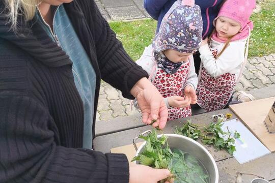 Cesta za tajemstvím babiččiny kuchyně: JARO a SÍLA probouzející se přírody 1
