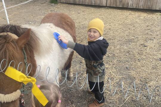 Návštěva na farmě 1