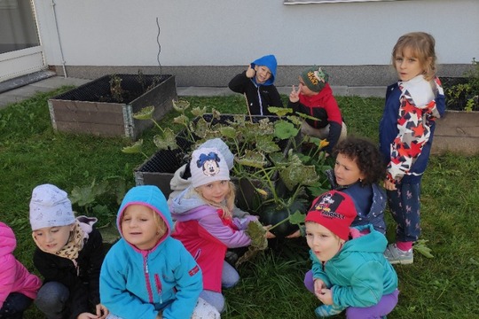 Připravujeme se na farmářský trh, trháme, sušíme a vyrábíme 1