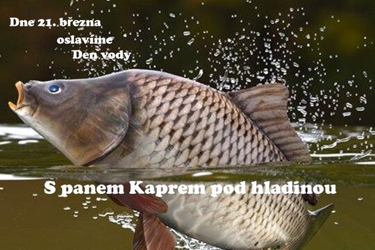 Den VODY 1