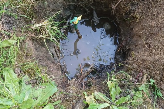 Naše školková vinice 1