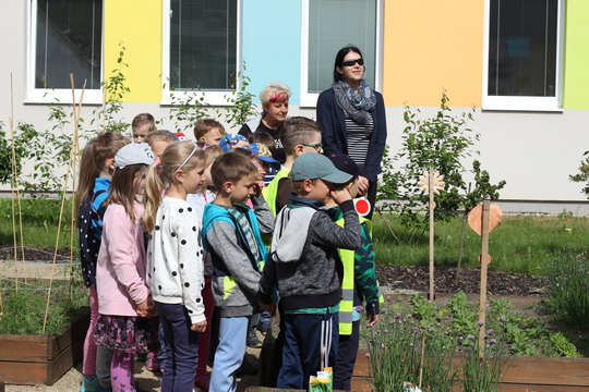 Projektový týden: Vím, co jím, maminko, tatínku 1