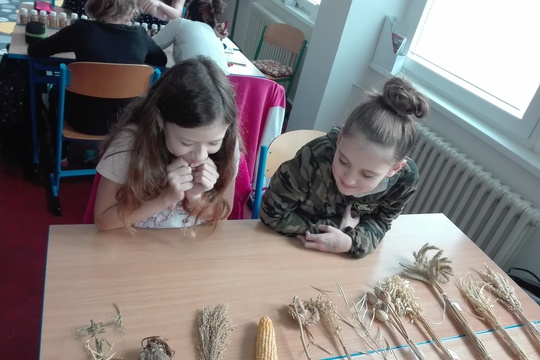 Zemědělství žije 1