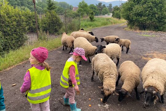 Medvídci z MŠ Soběchleby na ovčí farmě 1