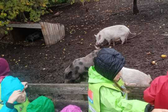 Doplňková aktivita: Malý farmář 1