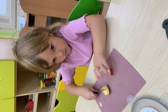 Sušení ovoce Sušení ovoce 1