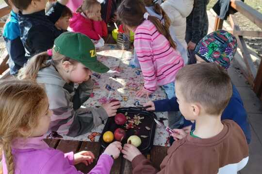 Zdravé pomazánky 1