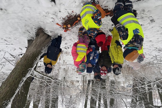 Dobroty pro zvířátka - Sluníčka 1