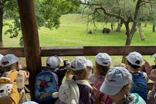 MŠ Sluníčko na výletě - Zoopark Chomutov 1