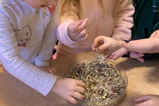 Malí pěstitelé v akci 1