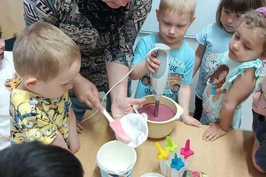 „Výroba domácí borůvkové zmrzliny“ 1