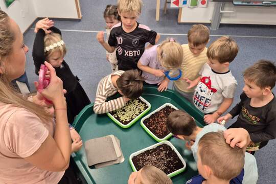 Microgreen v Zahrádce 1