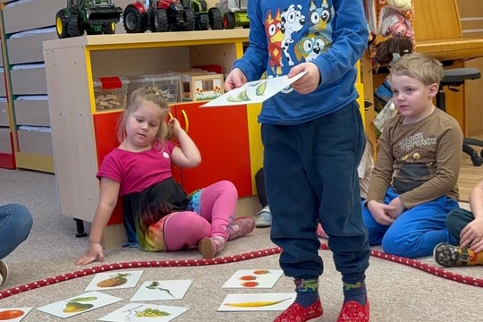 Ovoce a naše smysly  1