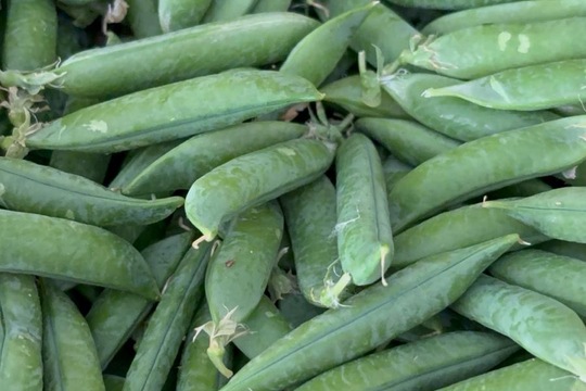 Farmářský obchod  1