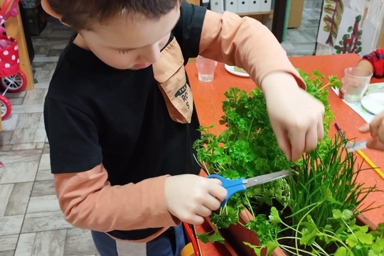Klíčící sklenice a koflíky s bylinkami ve třídách školky 1