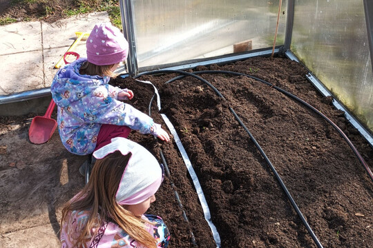 První sázení ve třídě Ferda Mravenec 1