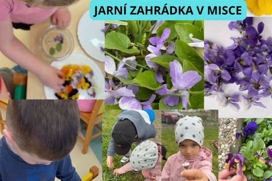 Jarní zahrada  1