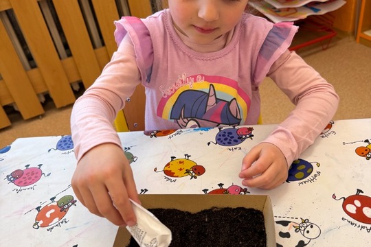 Zahradničení v třídě broučci 1