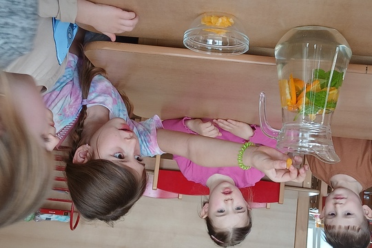 Domácí limonáda Domácí limonáda 1