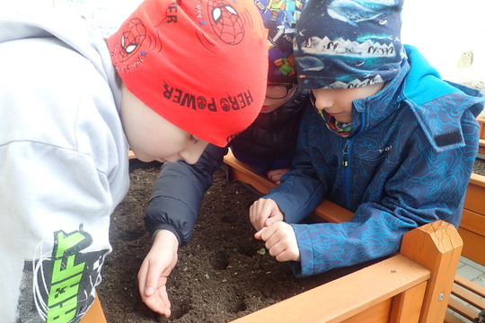 Jarní práce na vyvýšených záhonech  1