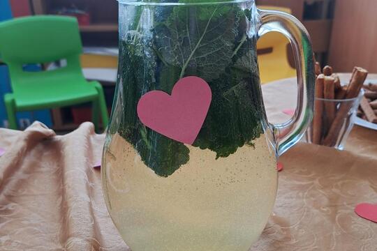 Domácí limonáda 1