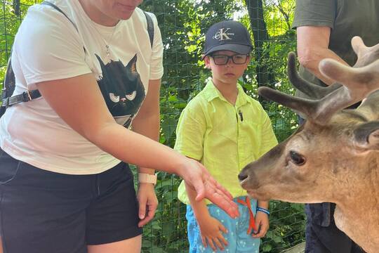 FARMAPARK U TOMA 1