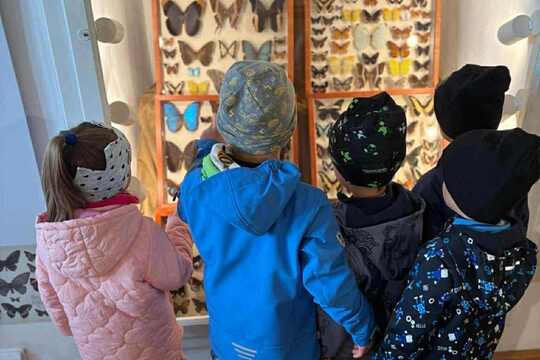 Svět kolem nás Svět kolem nás 1