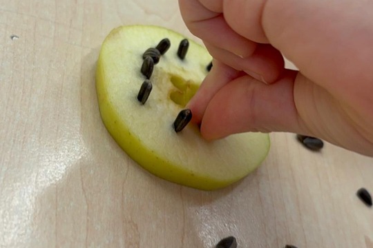 Vnímáme přírodu  1