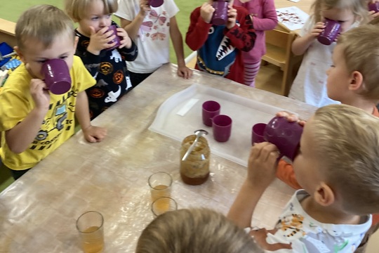 Vše o šípku - Berušky 1