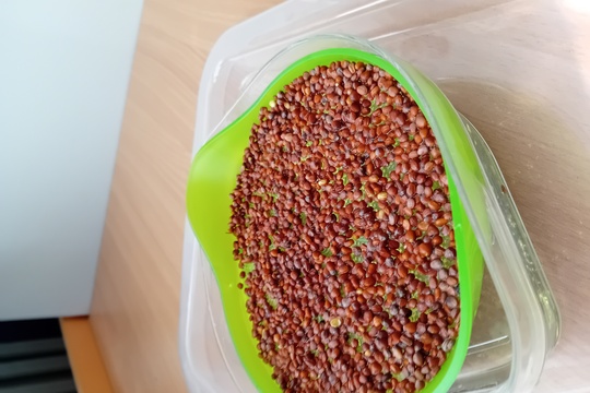 Co je u nás nového? 1