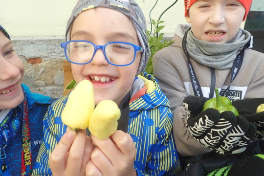 Poslední letošní sklizeň 1