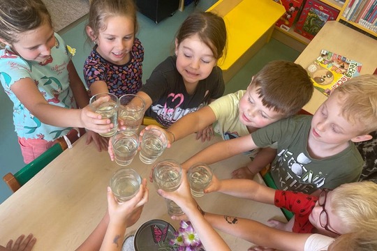 Domácí mátový sirup  1